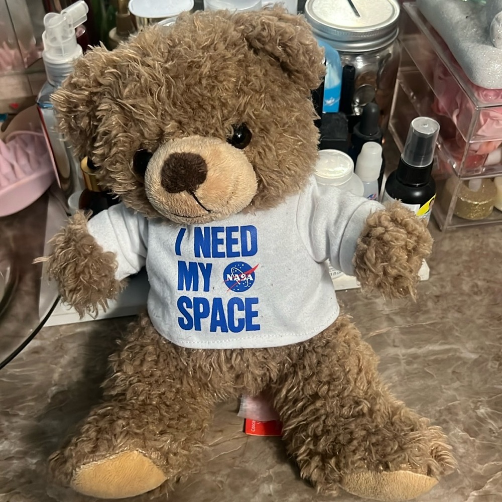 NASA museum teddy bear - I need my space